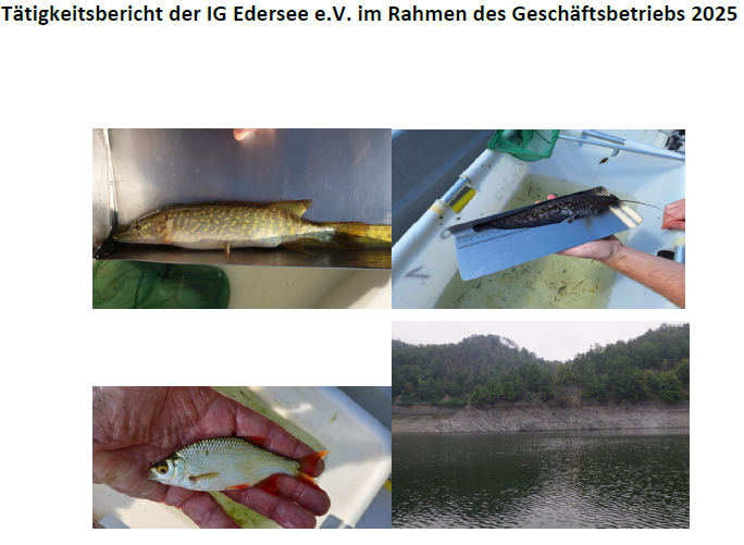 Bericht des Vorstandes zu den Jahren 2023, 2024 und 2025